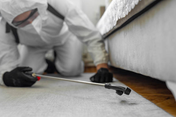 Professional Termite Control technician working in Kasson, MN