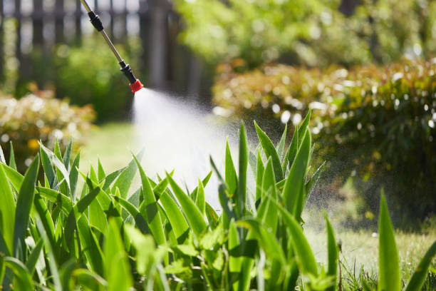 24/7 Emergency Termite Control experts in Kasson, MN